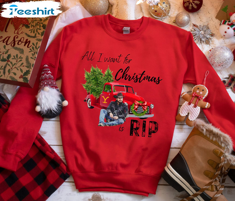 All I Want For Christmas Is Rip Shirt, Baby Slip A Rip Christmas Short Sleeve Unisex Hoodie