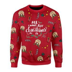 All I Want For Christmas Is You Ugly Christmas Sweater | For Men & Women | Adult | US3306- Best Christmas Gifts 2023