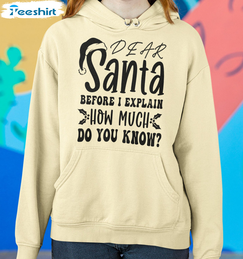 Dear Santa Before I Explain How Much Do You Know Shirt, Christmas Crewneck Unisex Hoodie