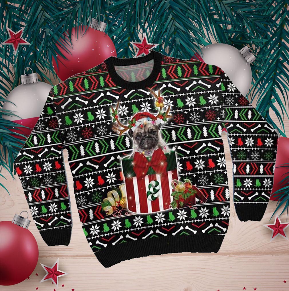 Funny Pug In The Gift Box Ugly Sweater For Pug Lovers On Christmas Days- Best Christmas Gifts 2023