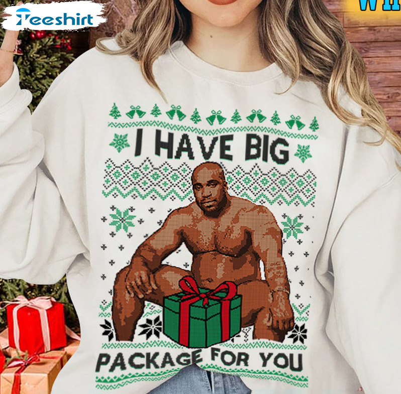 I Have A Big Package For You Christmas Tee Tops , Sweatshirt