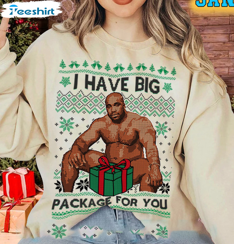 I Have A Big Package For You Christmas Tee Tops , Sweatshirt