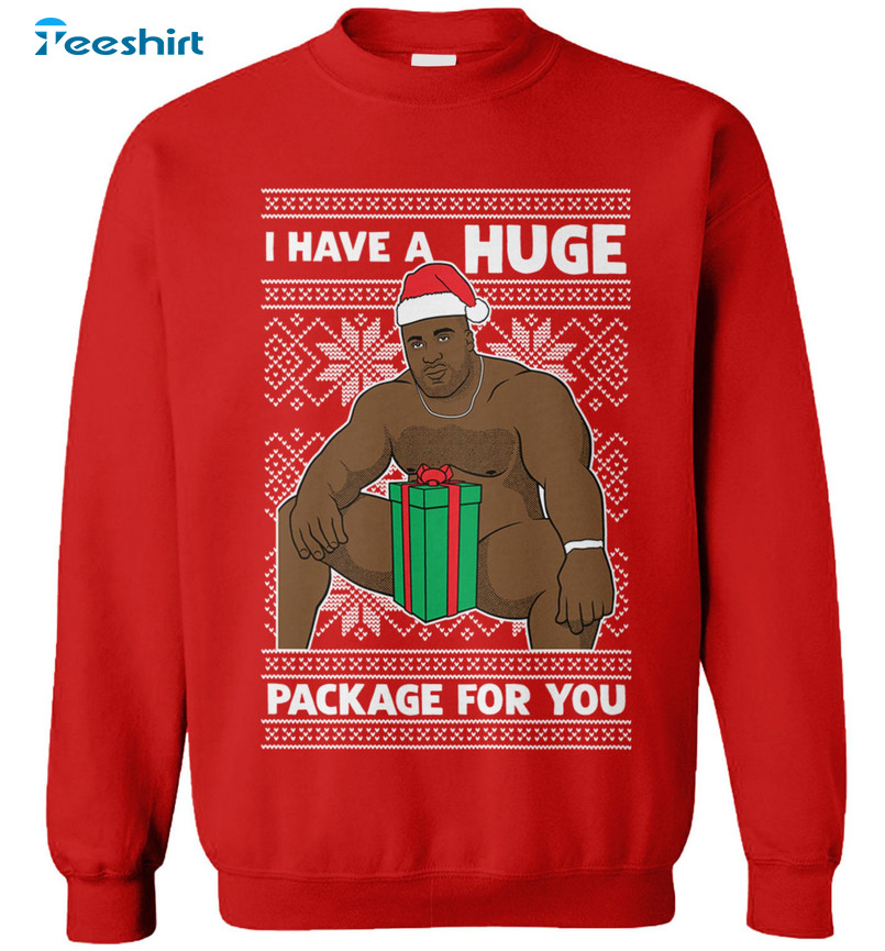 I Have A Huge Package For You Shirt, Christmas Sweatshirt Unisex T-shirt