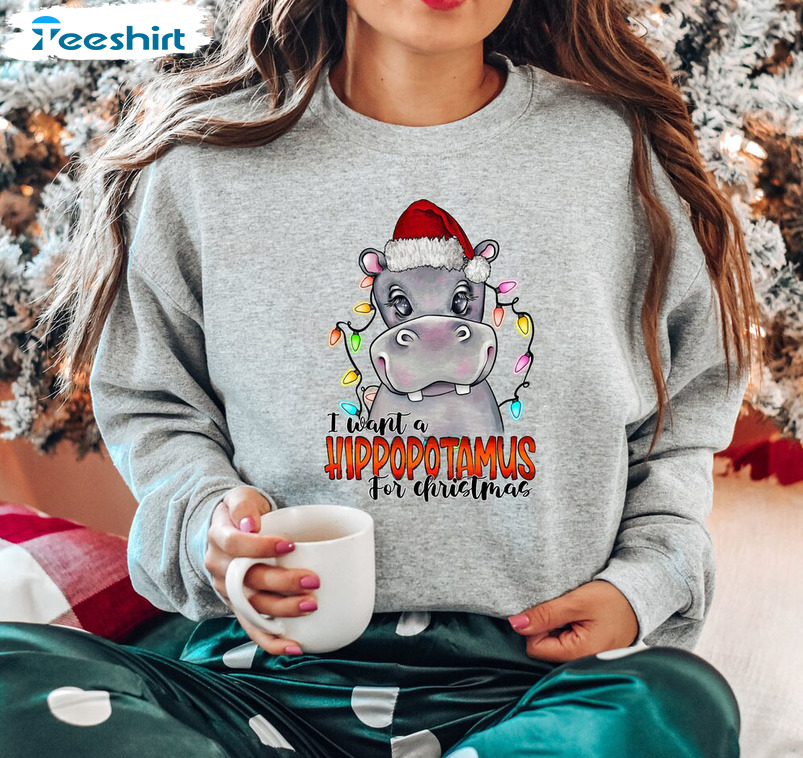 I Want A Hippopotamus For Christmas Sweatshirt – Hippopotamus Funny Long Sleeve Tee Tops