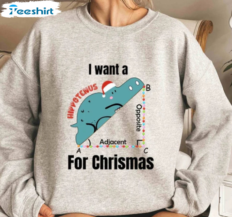 I Want A Hippotenus For Christmas Shirt, Math Teacher Unisex Hoodie Short Sleeve