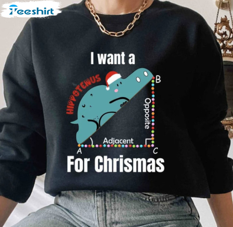 I Want A Hippotenus For Christmas Shirt, Math Teacher Unisex Hoodie Short Sleeve