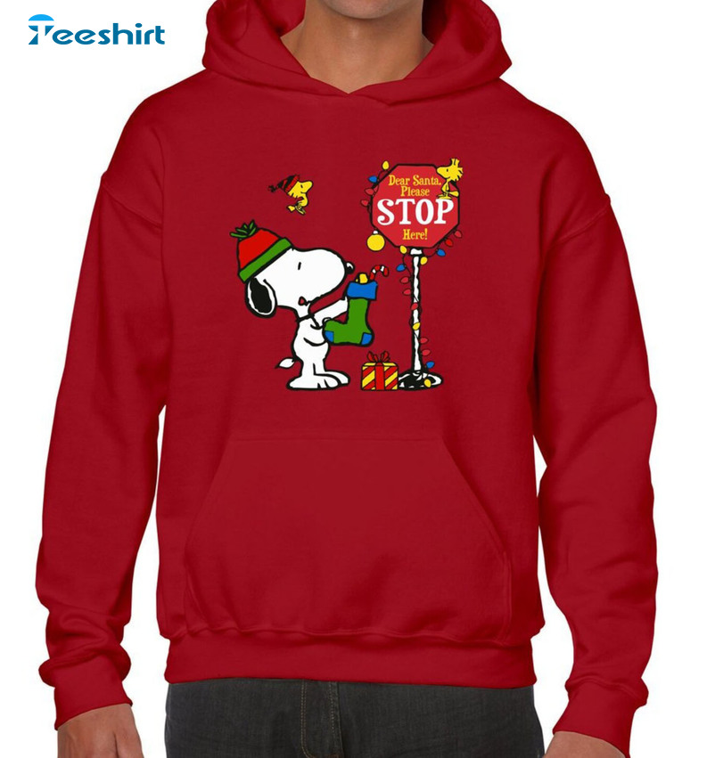 Snoopy Christmas Hooded Heavy Blend Shirt, Snoopy Woodstock Unisex T-shirt Hoodie