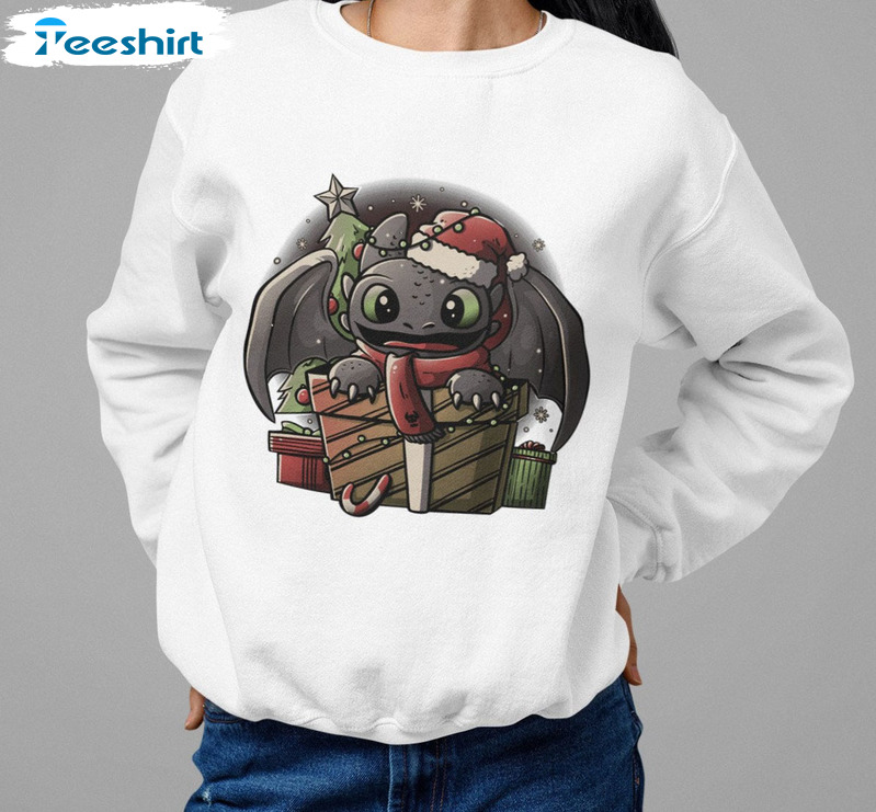 Vintage Toothless Christmas Light Shirt, Snowflakes Long Sleeve Crewneck