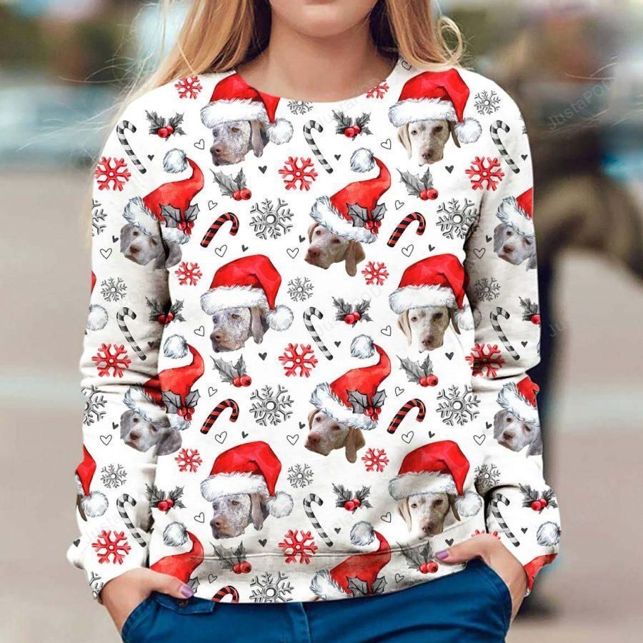 Braque Du Bourbonnais Christmas Ugly Sweater- Best Christmas Gifts 2023