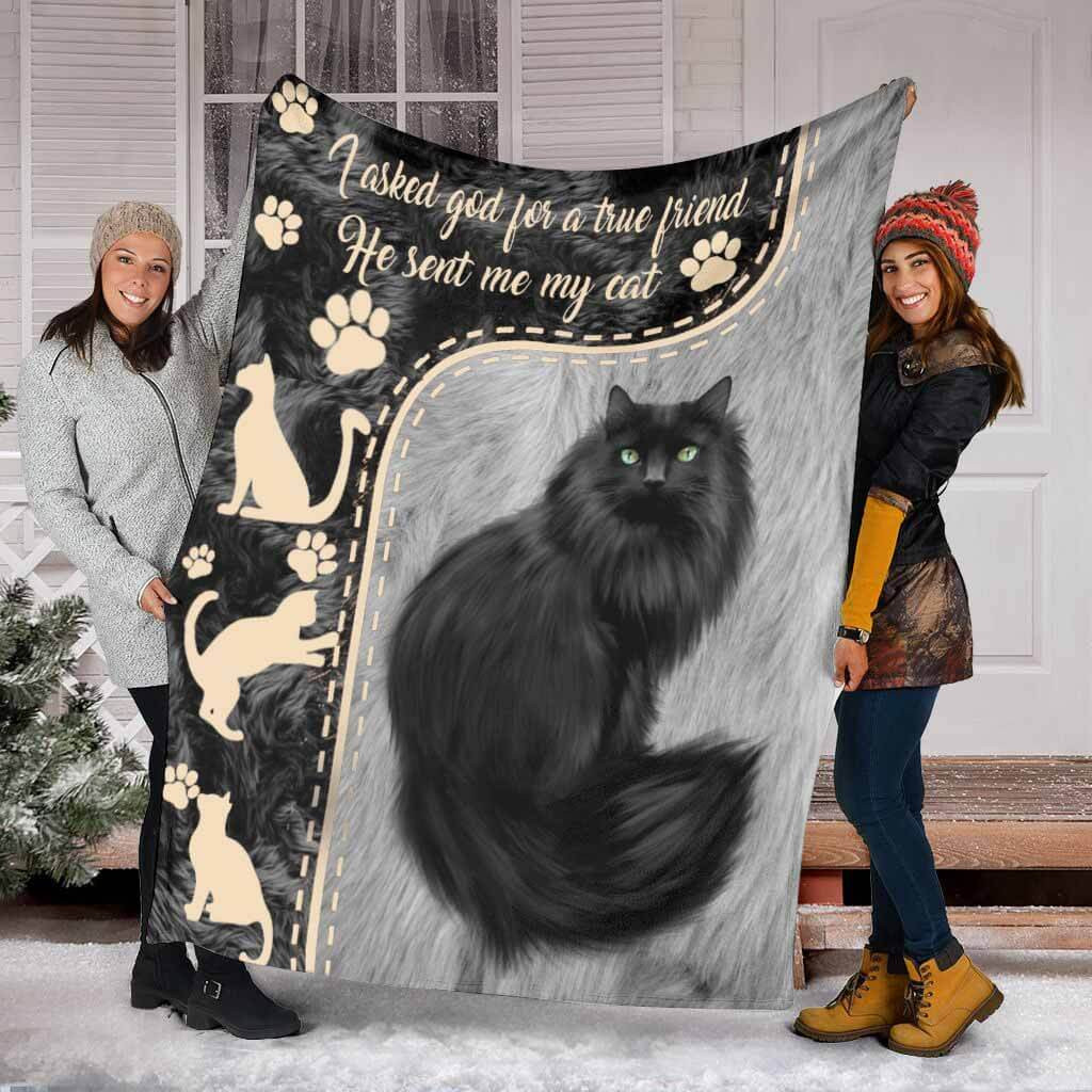 I Asked God For A True Friend Black Cat Blanket