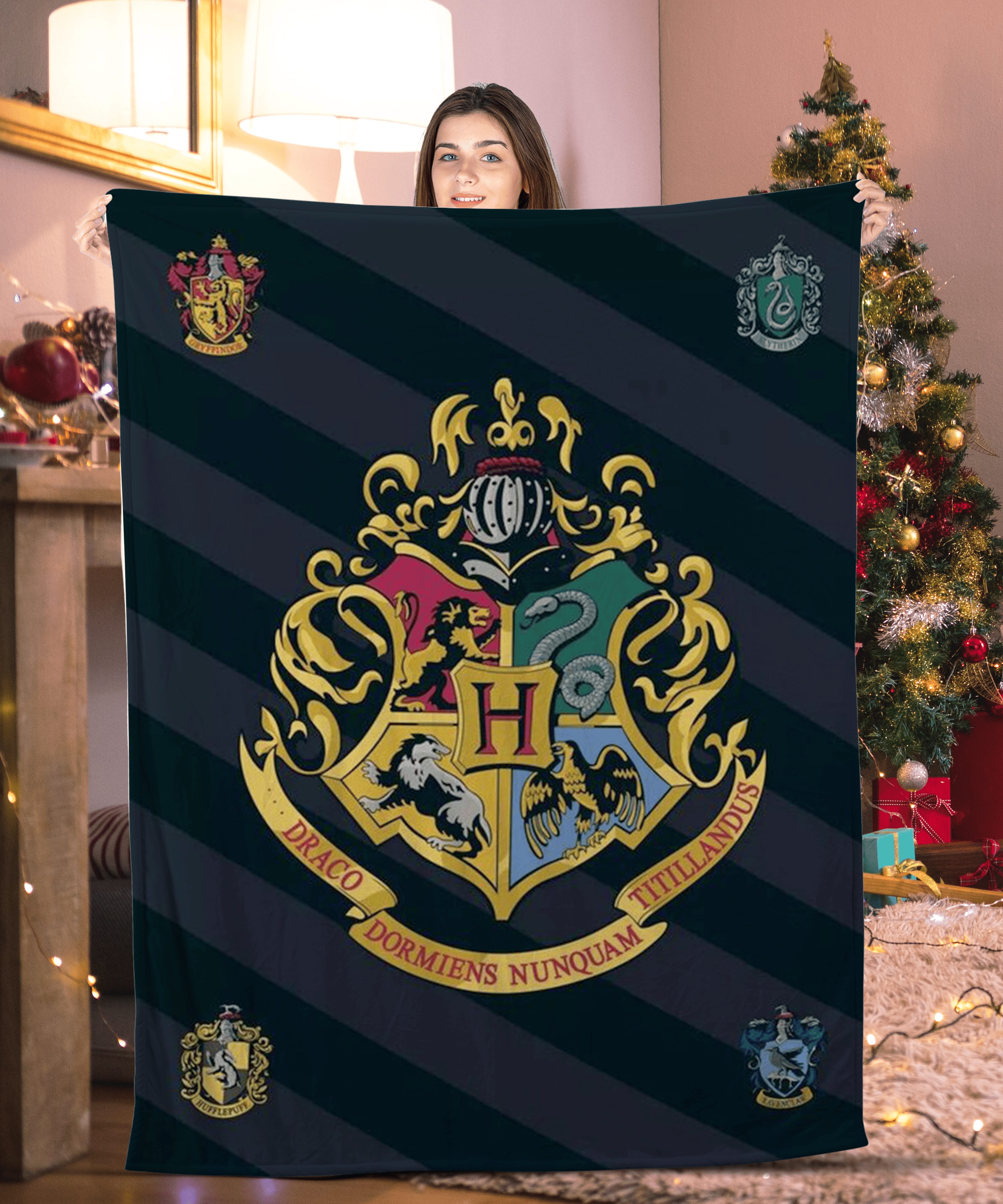 Draco Dormiens Nunquam Titillandus Harry Potter Blanket