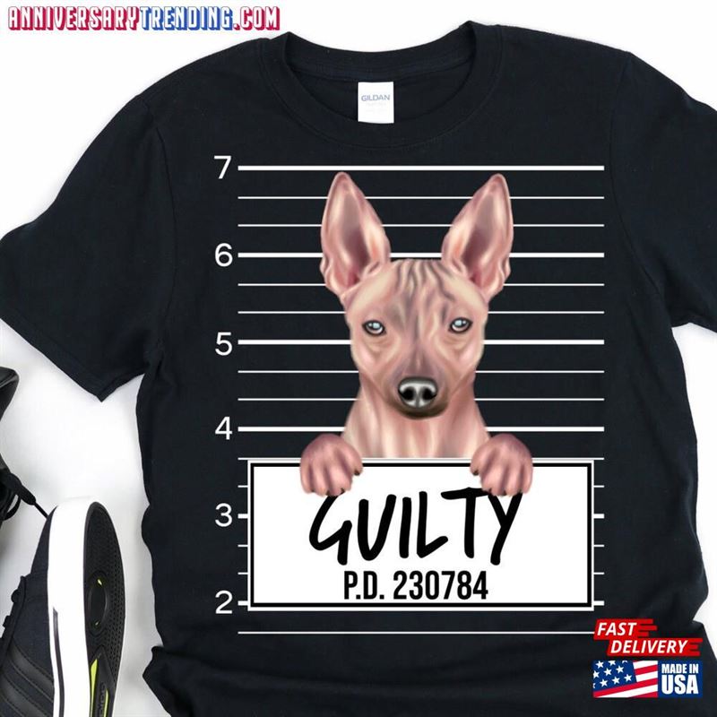 Funny American Hairless Terrier Dog Mugshot Pet Portrait Gift Lover Shirt Hoodie Classic – Bipubunny Store