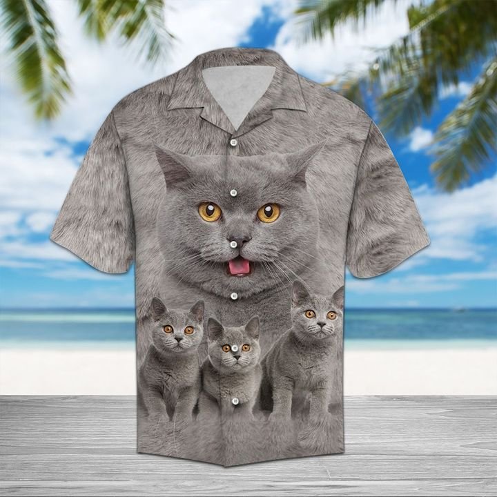 British Shorthair Great Hawaiian Shirt Summer Button Up