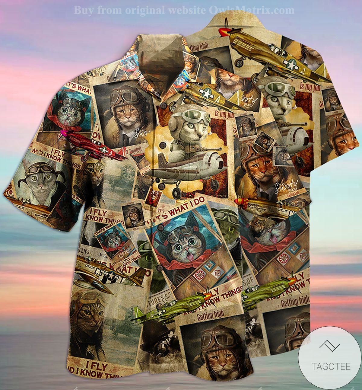 Cat Pilot I Fly And I Know Things Hawaiian Shirt