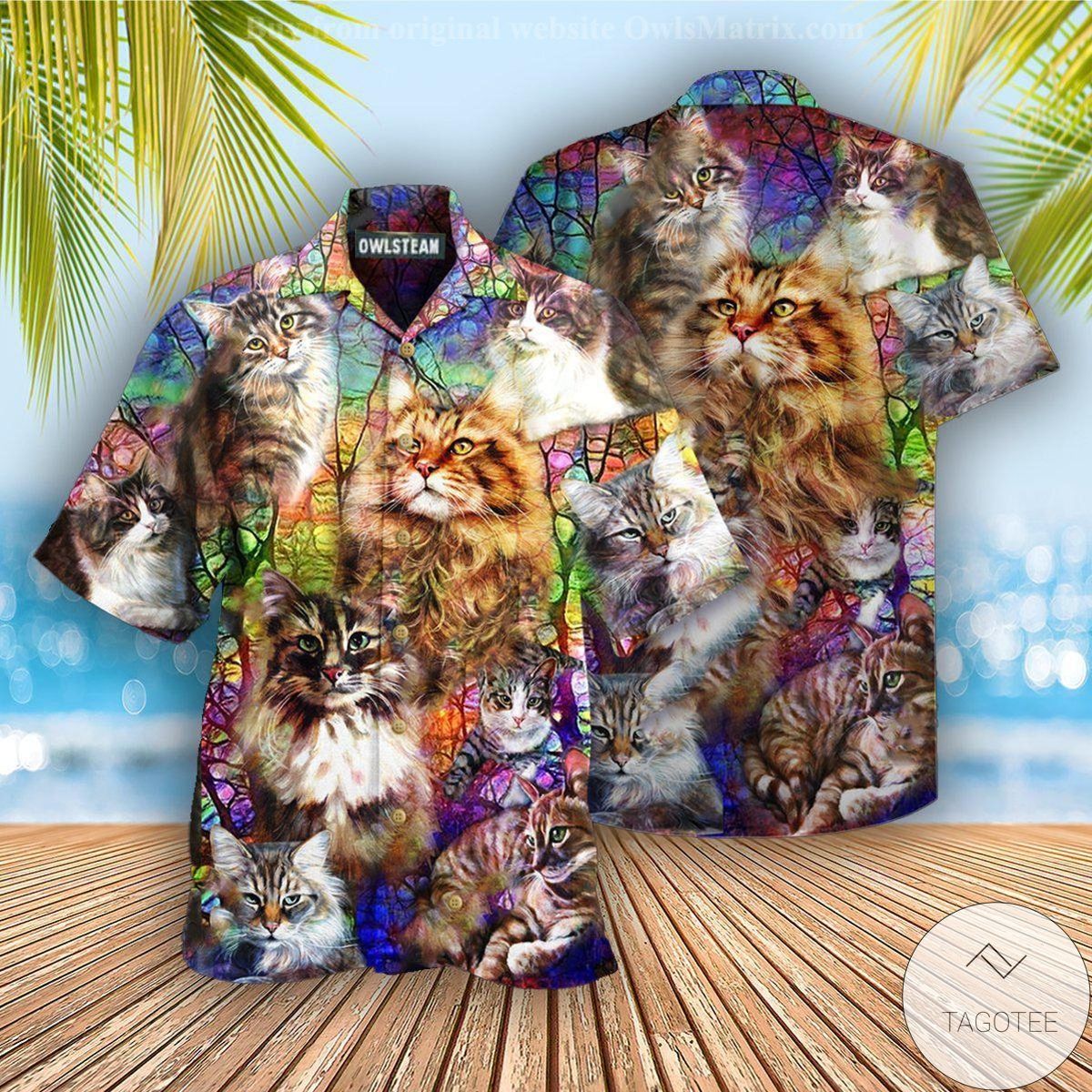 Cats Colorful Over Printed Hawaiian Shirt