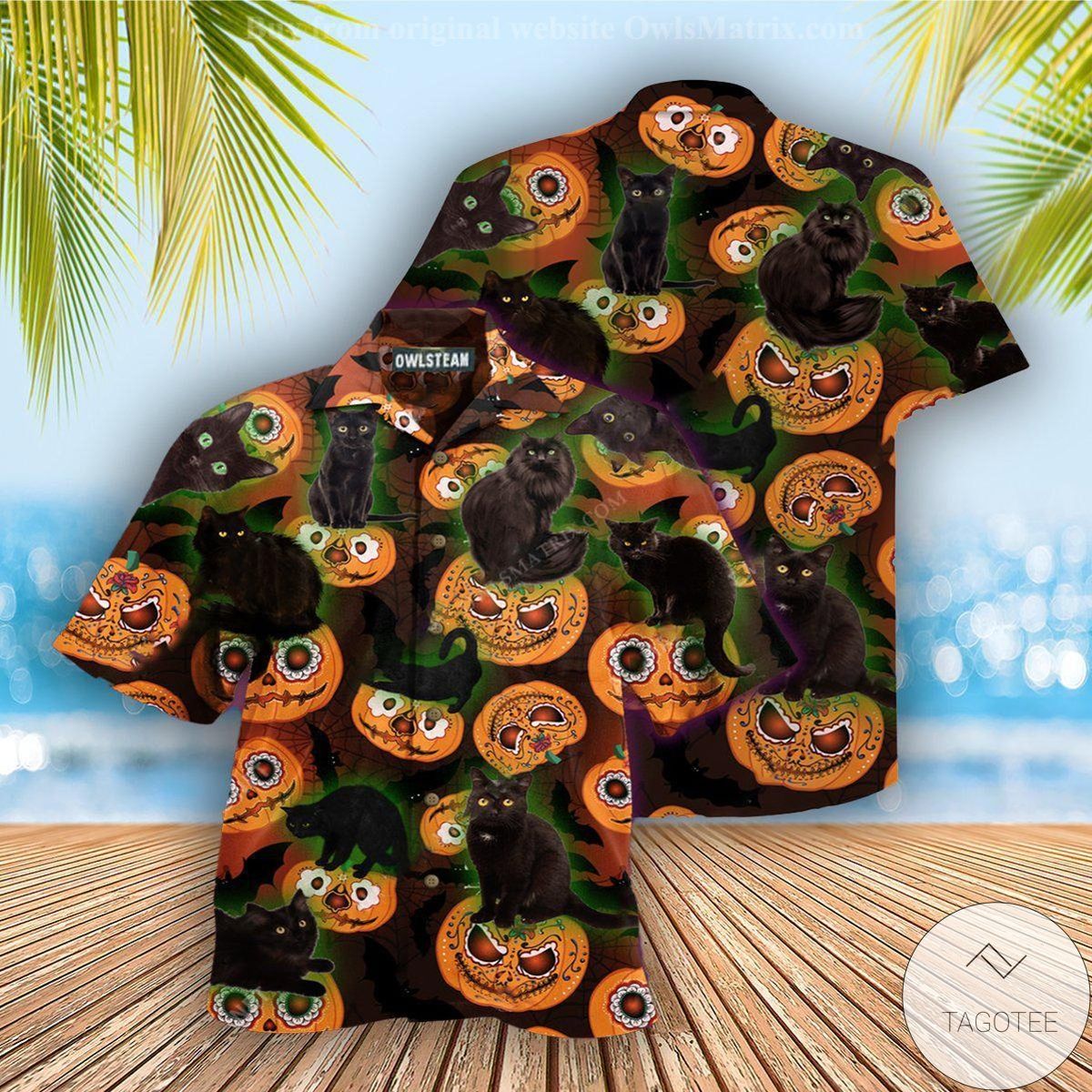 Cats Pumpkins Halloween Hawaiian Shirt