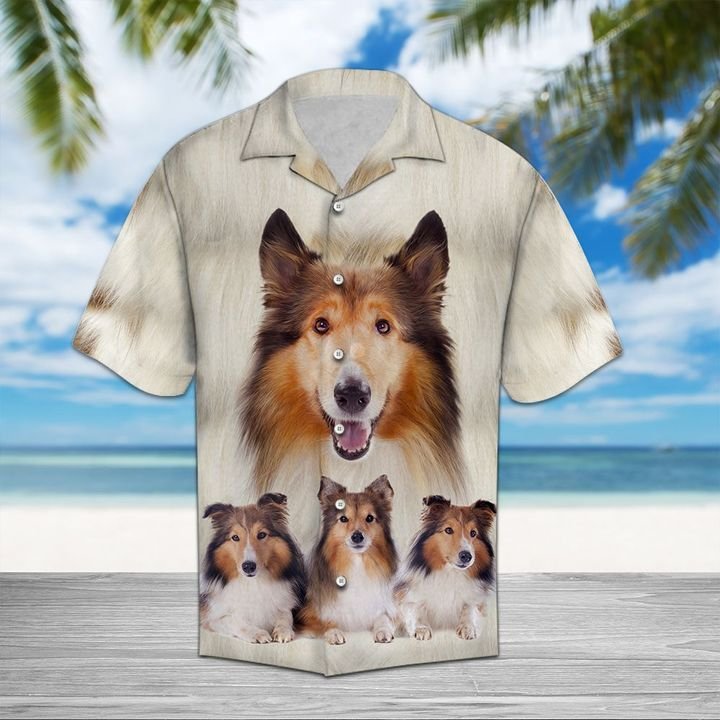 Collie Great Hawaiian Shirt Summer Button Up