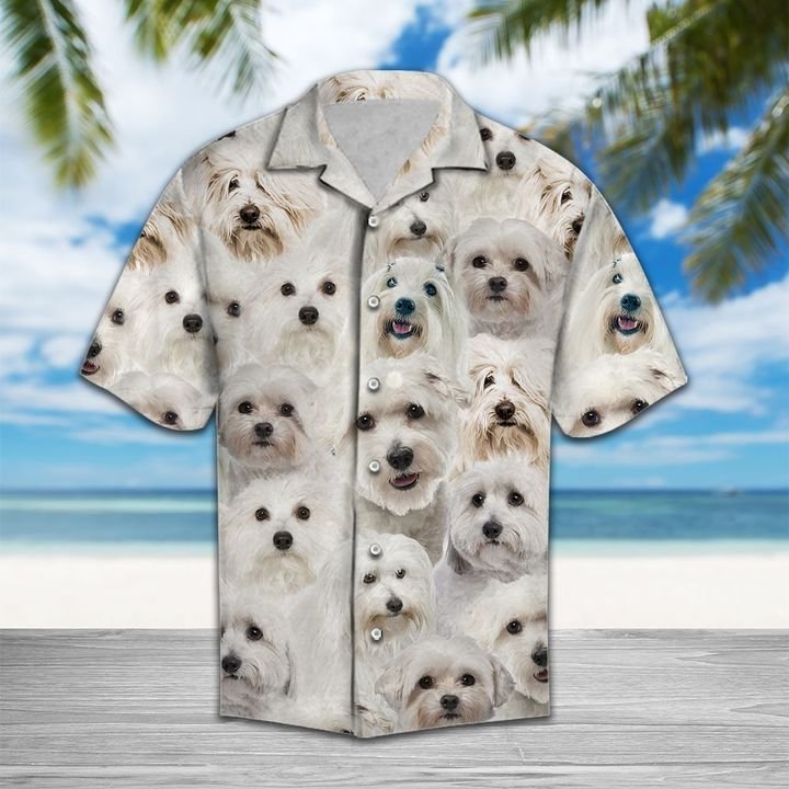 Cute Coton De Tulear Hawaiian Shirt Summer Button Up